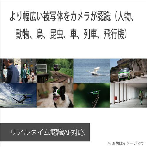 ソニー ILCE-7CR S デジタル一眼カメラ α7CR ボディ α(アルファ)Eマウント シルバー_6