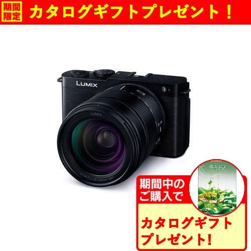 期間限定ギフトプレゼント】パナソニック DC-S9H-K フルサイズ ミラー