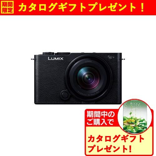 パナソニック DC-S9N-K S9 広角ズームレンズキット ミラーレス一眼