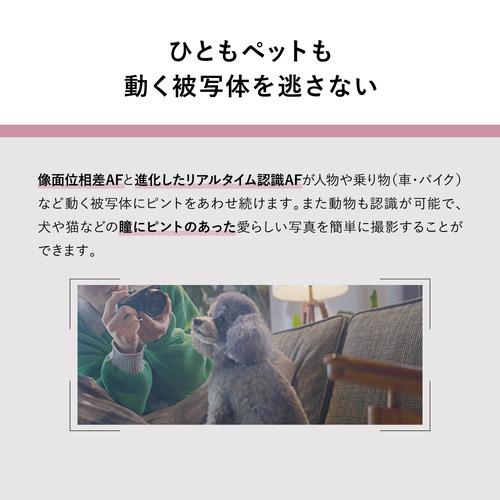パナソニック DC-S9N-K S9 広角ズームレンズキット ミラーレス一眼カメラ LUMIX ジェットブラック_5