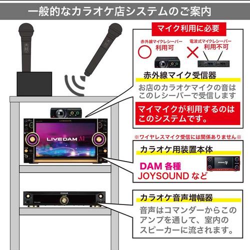パイン・クリエイト GTM200 カラオケ用マイク PENTATONIC ステラブルー