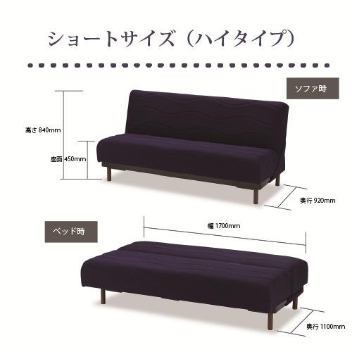 フランスベッド MOVEin′terior ソファベッド スイミーPLUSショートBL