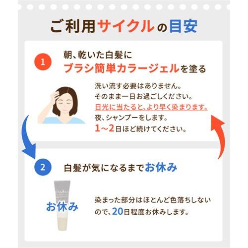 ヤマダデンキ ブラシ簡単カラージェル 光で白髪染め 洗い流し不要 男女
