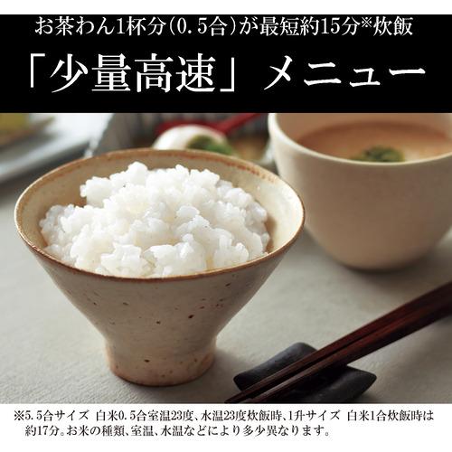 タイガー魔法瓶 JPW-T100 IHジャー炊飯器 炊き立て 5.5合 モーブブラック JPWT100 タイガー魔法瓶 JPW T100 IHジャー炊飯器 炊き立て 5合 モーブブラック JPWT100