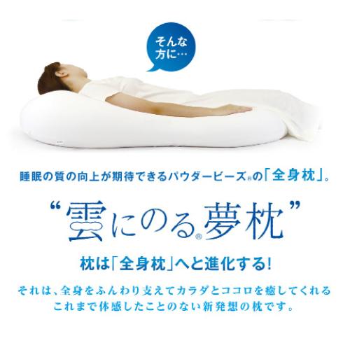 MOGU モグ 雲にのる夢枕冷感MAX 本体・カバーセット アイスブルー 雲に 