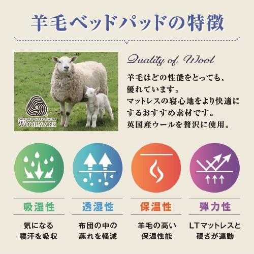 フランスベッド ベッドパッドLTフィットパッド  セミダブル ハード_4
