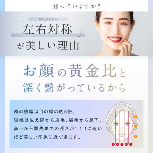 日創プラス EMS美顔ローラーBEROLA(ベローラ) NIPLUX(ニップラックス) NPBRL23SV_2