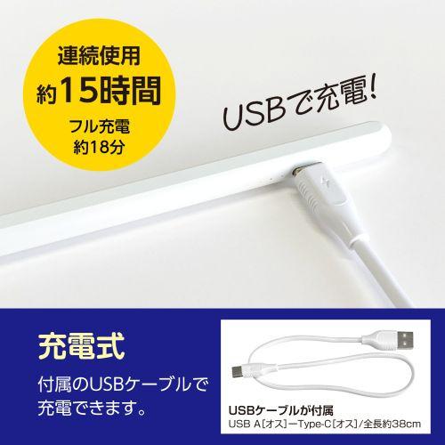 ナカバヤシ TPEN-004W iPad専用充電式タッチペン 軽量タイプ ホワイト
