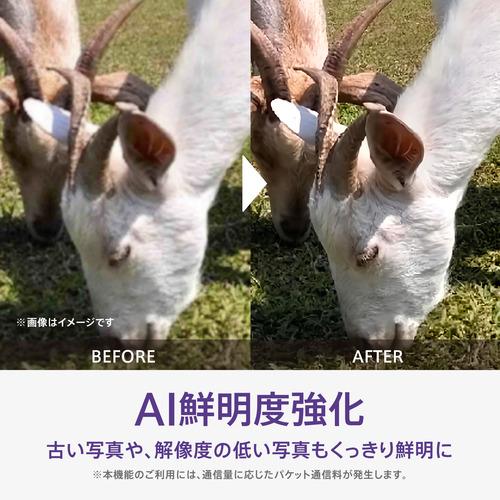 OPPO CPH2725 WH OPPO A5x SIMフリースマートフォン 6.7型 メモリ／ストレージ：4GB／128GB ホワイトの画像