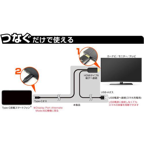カシムラ KD-225 HDMI変換ケーブル 3m｜best-denki｜03