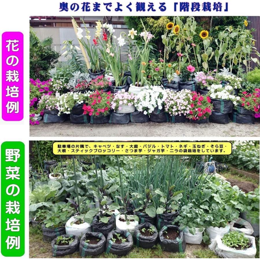 花 野菜の種まき 10枚入り メッシュ栽培袋uv黒pe 実用新案登録品手軽に自宅で家庭菜園 落ち葉入れ袋 袋栽培 身近で野菜栽培 霜対 大放出セール 袋栽培