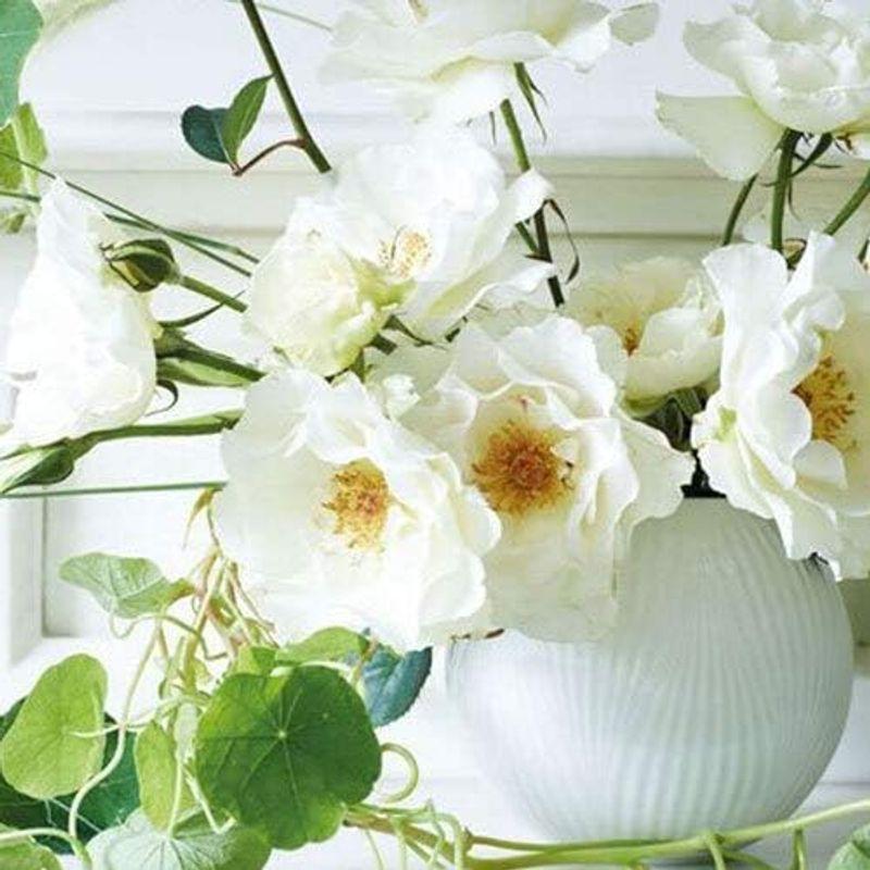 正規輸入品ウェッジウッド ホワイトフォリア フラワーベース 花瓶 13cm 結婚祝い プレゼント 40032153｜best-filled-shop｜02