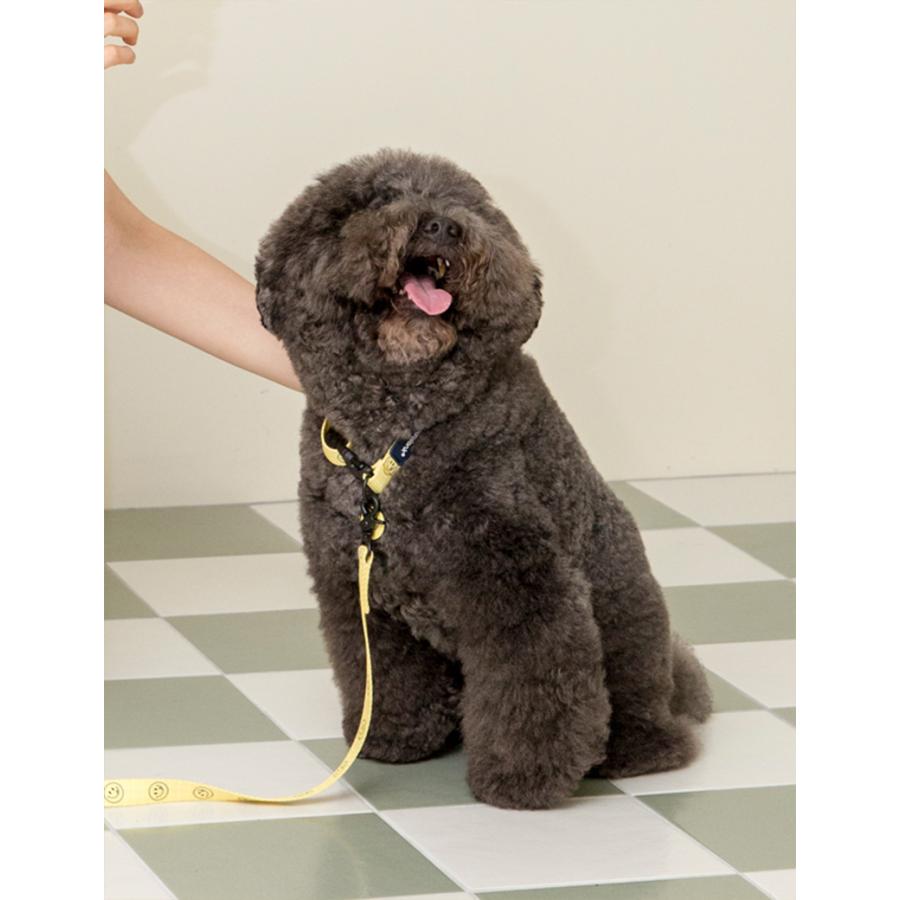 クーポンで最大500円OFF 犬 首輪 かわいい おしゃれ｜andblank × cafe