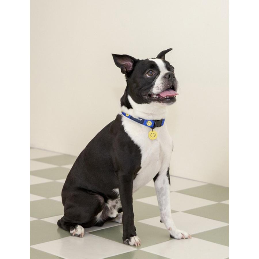 犬 首輪 かわいい おしゃれ｜andblank × cafe knotted スマイルカラー