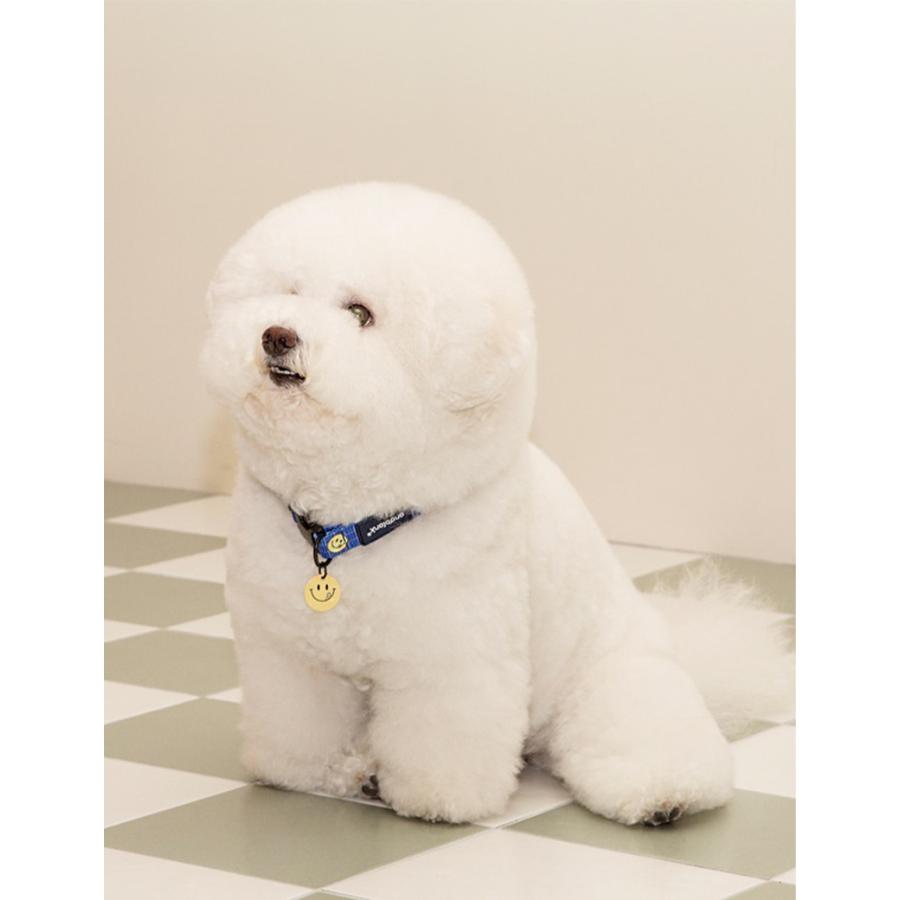 スマイル 花首輪 andblank × cafe knotted スマイルカラー S L｜犬 首輪 小型犬 中型犬