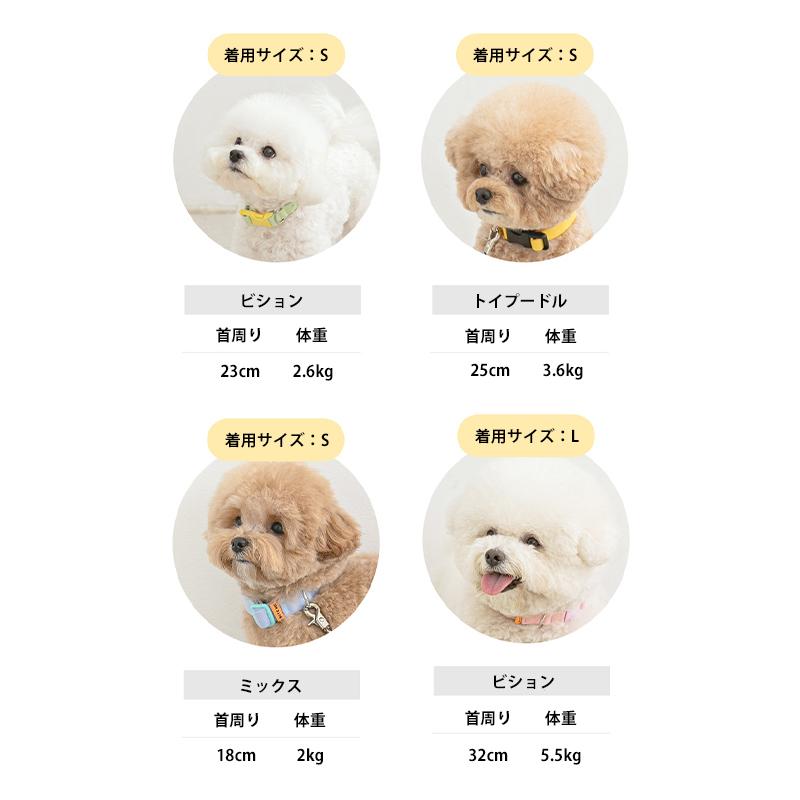 BITE ME（バイトミー） キャンディクレヨンカラー 犬 首輪 かわいい