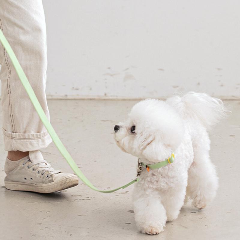 犬 リード Bite Me バイトミーキャンディクレヨンリード 首輪 ハーネス 胴輪 かわいい パステルカラー ビビットカラー 小型犬 中型犬 Bm 013 Best Friends 通販 Yahoo ショッピング