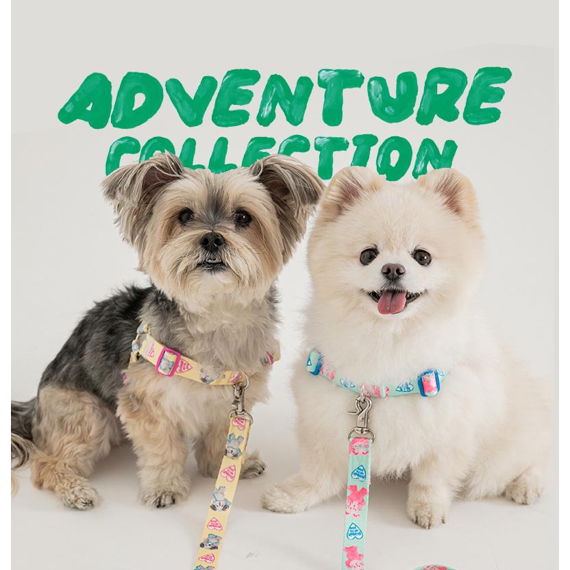 BITE ME バイトミー POKORI Friends アドベンチャーネックライン 首輪 S,M 犬 首輪 かわいい キャラクター コラボ デザイン 小型犬 中型犬 軽い 軽量 |  | 16