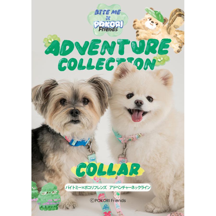 BITE ME バイトミー POKORI Friends アドベンチャーネックライン 首輪 S,M 犬 首輪 かわいい キャラクター コラボ デザイン 小型犬 中型犬 軽い 軽量 |  | 06