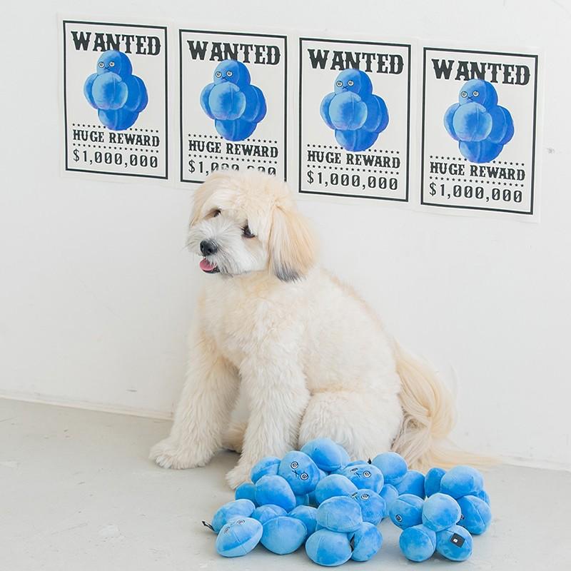 送料無料でお届けします Bite Me バイトミー ウィルスくん ノーズワークトイ 犬 おもちゃ 犬用おもちゃ 犬のおもちゃ 韓国 ノーズワーク 知育 噛む セット ぬいぐるみ かわいい Cisama Sc Gov Br