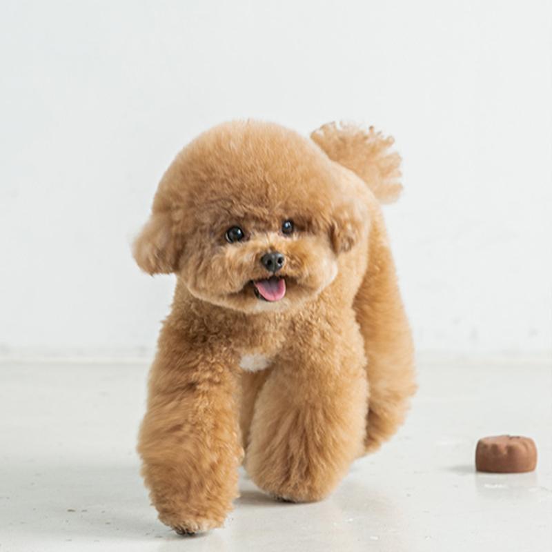 市場 バイオセーフ ピンク パピー 犬用おもちゃ 犬ステッカー介護ハーネス ワラ犬 リング