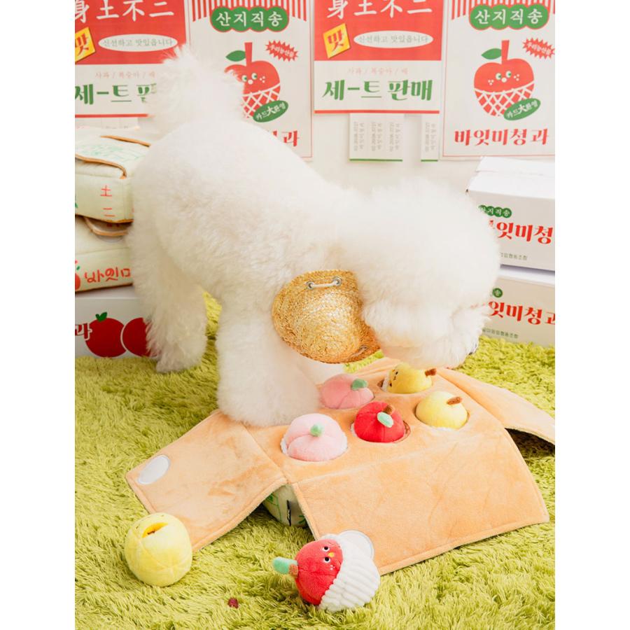 Doggy box / ペットパラダイス / bite me おもちゃセット BITE ME（バイトミー） クーポンで最大500円OFF BITE ME ミックス
