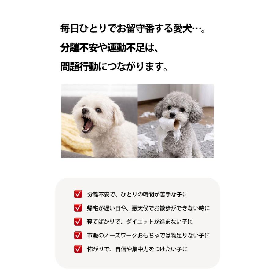 BITE ME（バイトミー） 犬 おもちゃ 動く 電動 ボール 自動 知育