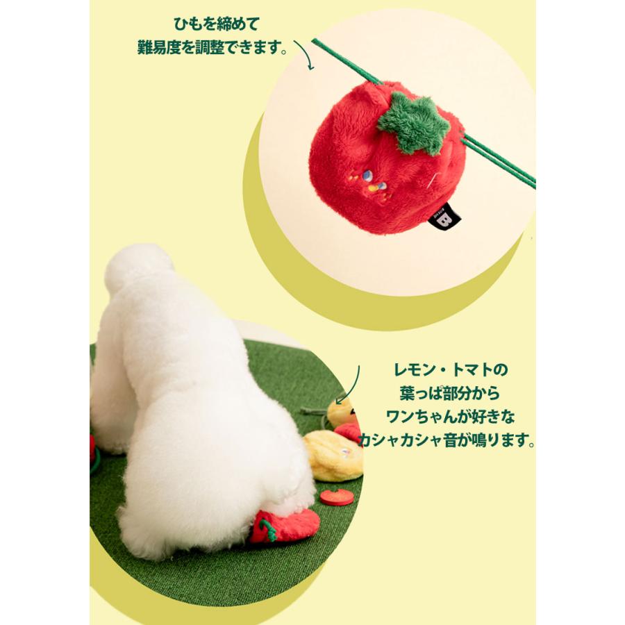 BITE ME（バイトミー） ポケットフルーツ ノーズワークトイ 犬