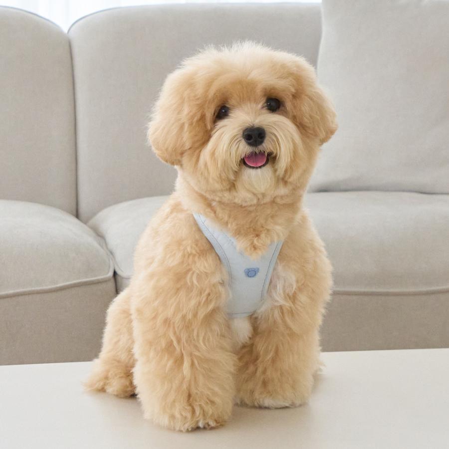 LED付 BENNYS ベニーズ エアリーバックルハーネス 犬 ハーネス メガネ