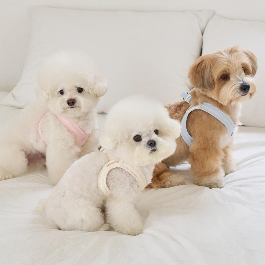LED付 BENNYS ベニーズ エアリーバックルハーネス 犬 ハーネス メガネ