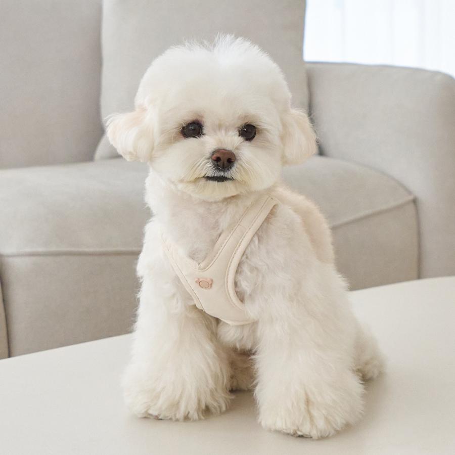 LED付 BENNYS ベニーズ エアリーバックルハーネス 犬 ハーネス メガネ