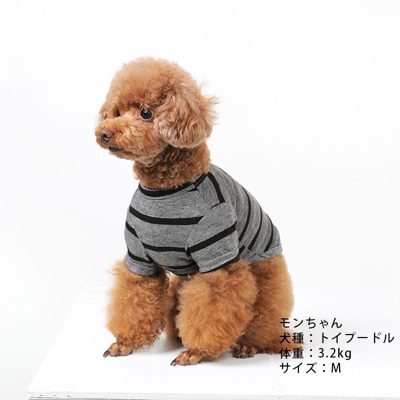 ベストフレンズ BF ボーダーグレーTシャツ S M L XL 犬の服 犬服