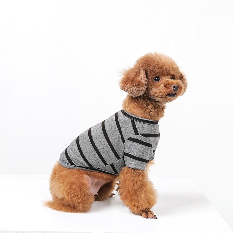 ベストフレンズ BFボーダーグレーTシャツ S M L XL｜犬服 犬の服