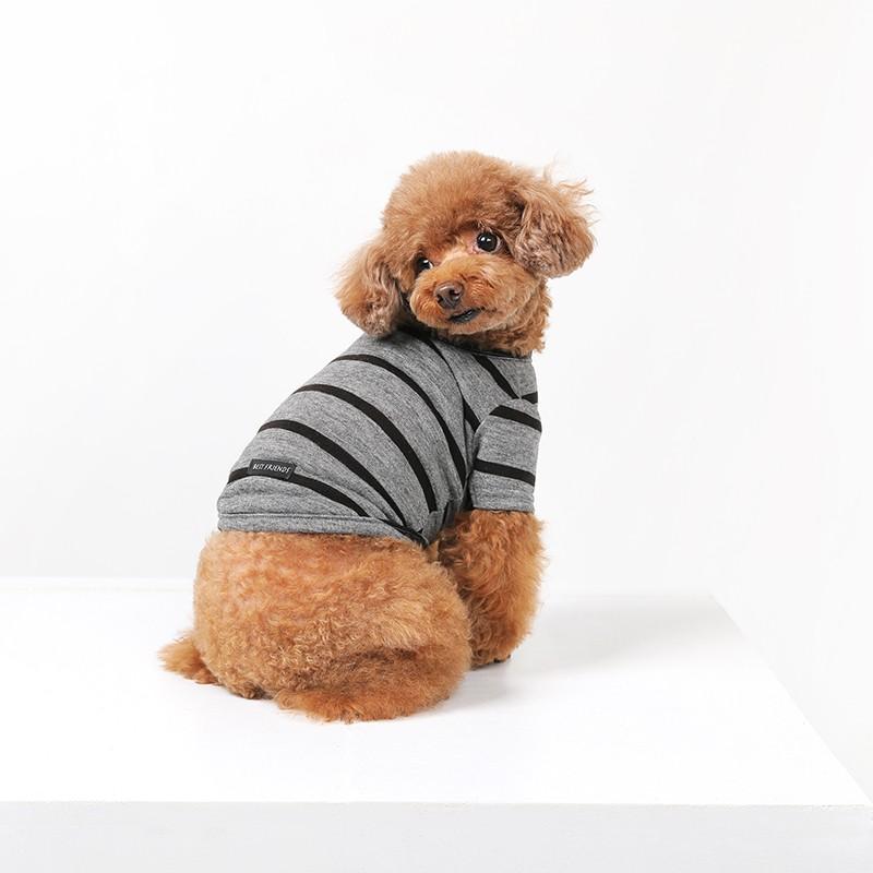ベストフレンズ BF ボーダーグレーTシャツ S M L XL 犬の服 犬服
