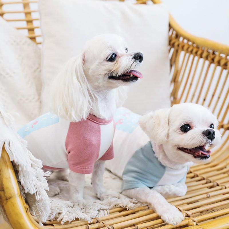 ベストフレンズ アルファベットラグランTシャツ S M L XL XXL 犬の服