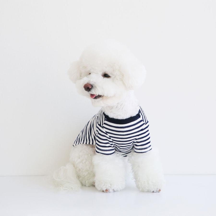 Say Cheese ポケットボーダーTシャツ｜犬服 犬の服 ドッグウェア 春