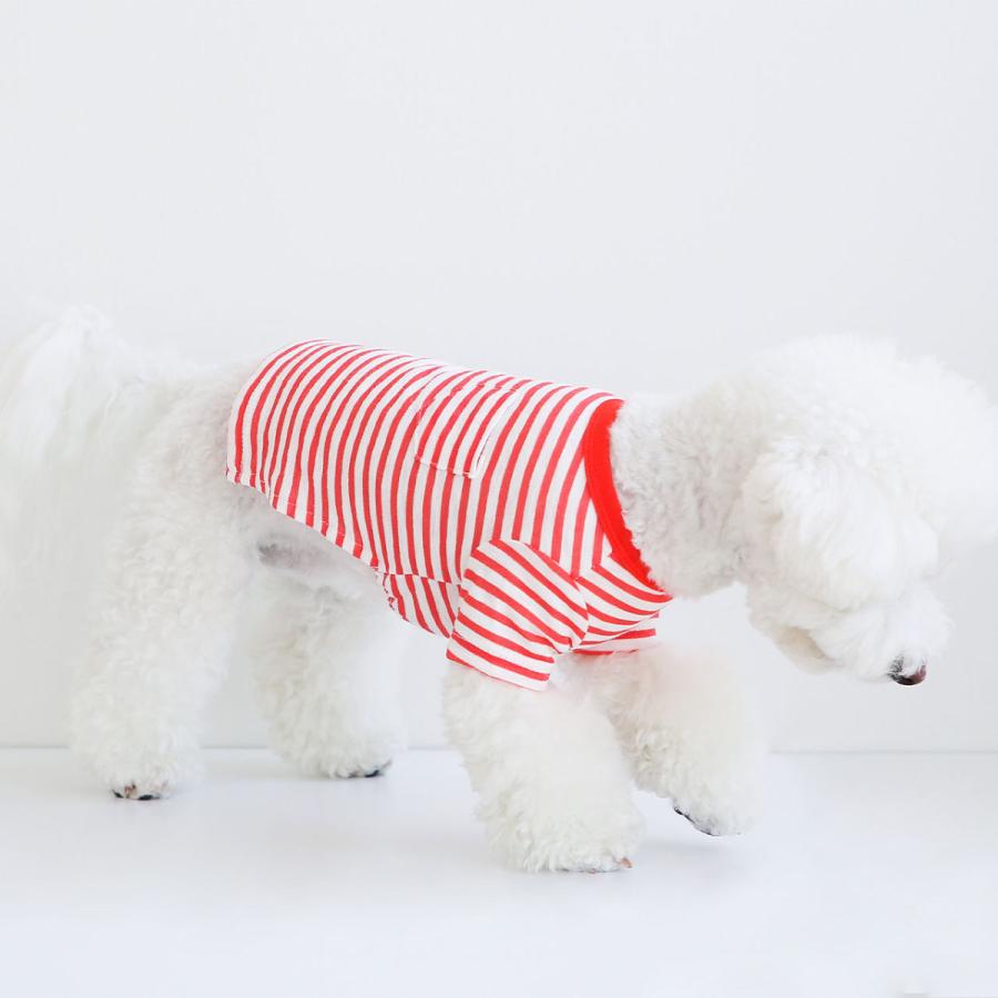 クーポンで最大500円OFF Say Cheese ポケットボーダーTシャツ｜犬服 犬