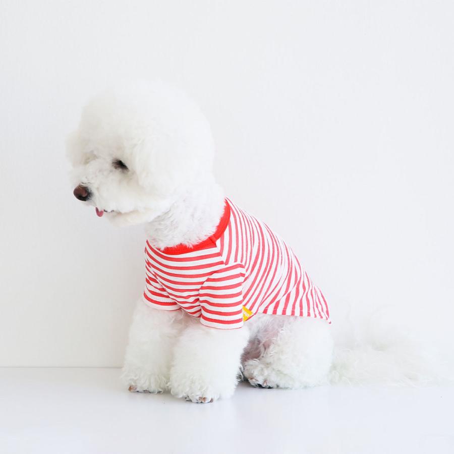 Say Cheese ポケットボーダーTシャツ｜犬服 犬の服 ドッグウェア 春