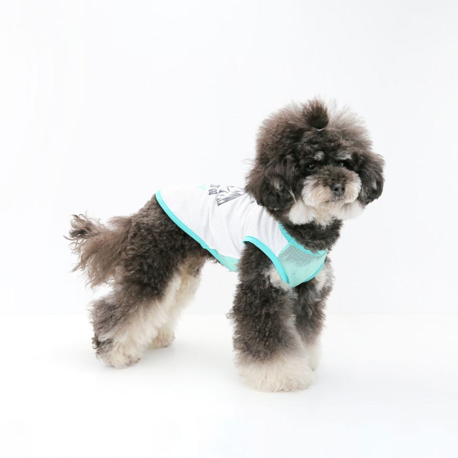 アウトドアクールメッシュタンク S M L XL XXL 犬服 小型犬 夏