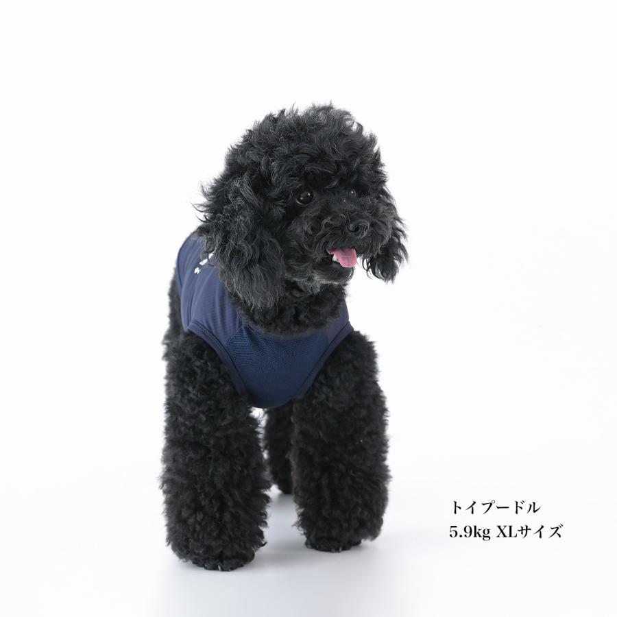 スピード違反クールメッシュタンク S M L XL XXL｜犬服 ドッグウェア