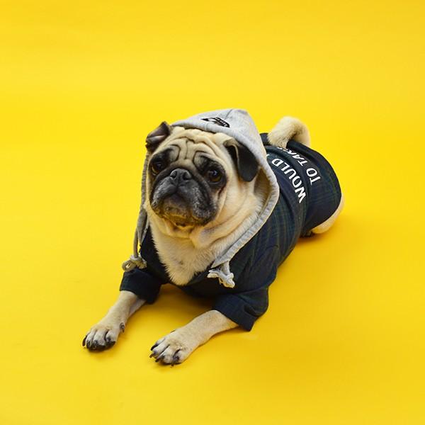 のあさま確認用☺︎わんこふく　犬服 Naoさま確認用☺︎わんこふく 犬服 Naoさま確認用☺︎わんこふく
