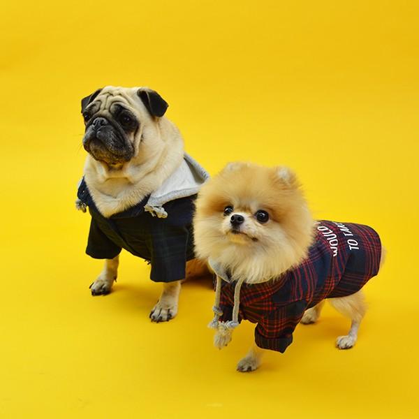 Duffy and Friends 犬用フード付きウェア Mサイズ Duffy and Friends 犬用フード付きウェア Mサイズ