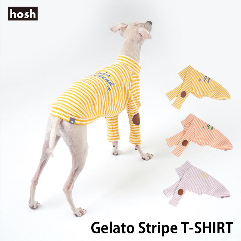 犬 服 Tシャツ イタグレ専用｜hosh ジェラートストライプTシャツ S M L
