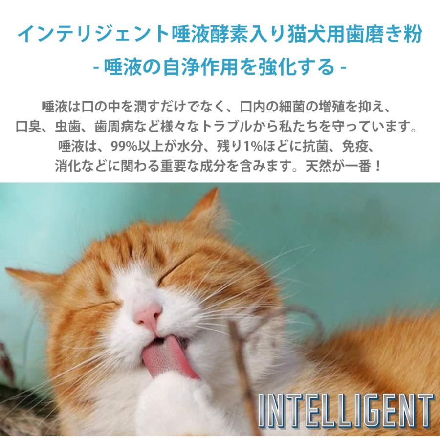 4月5日より順次発送 犬 猫 はみがき粉 Intelligent インテリジェント 酵素入り猫犬用歯磨き粉 80g 歯の黄ばみ取れ 茶色の色素沈着を落とす 歯石除去 Intelligent80 Best Friends 通販 Yahoo ショッピング