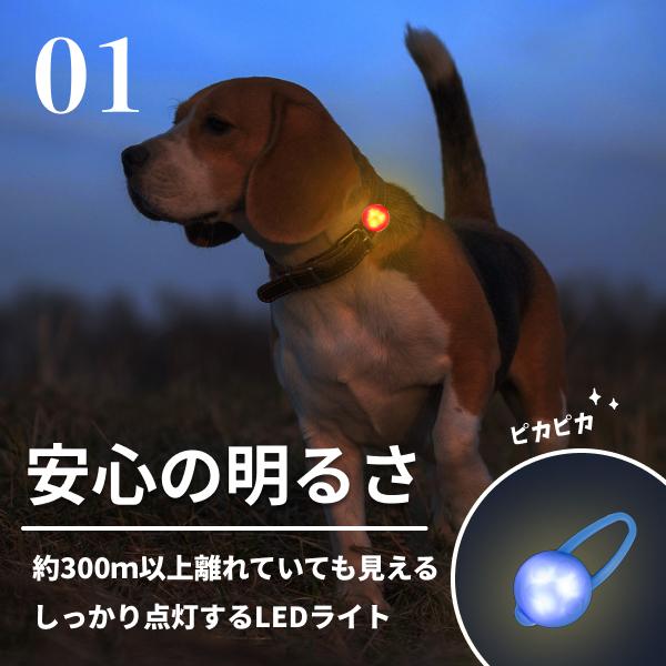 クーポンで最大500円OFF 犬 散歩 LEDライト 7色｜シリコン お散歩