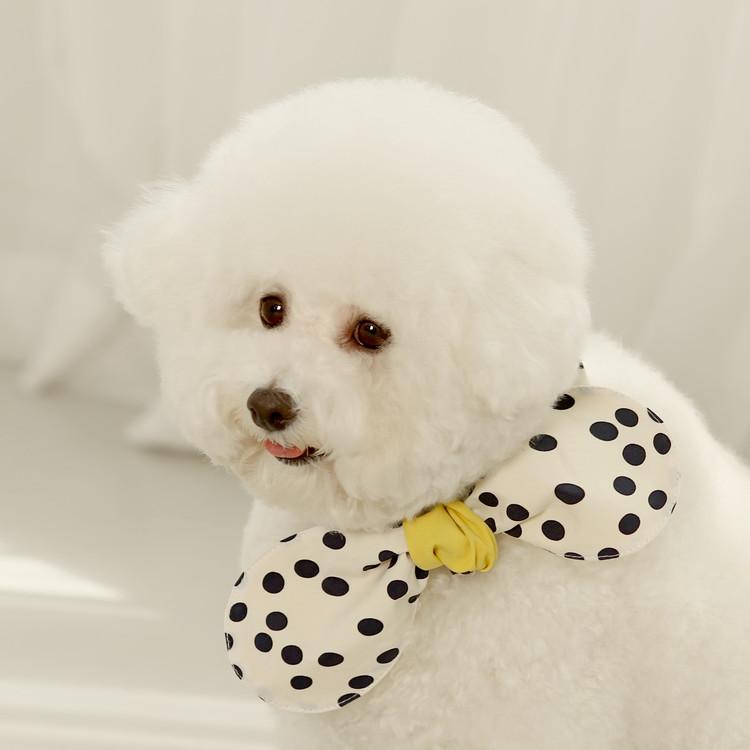 ハンドメイド クールネック 熱中症対策 ビションフリーゼ 溶けにくい