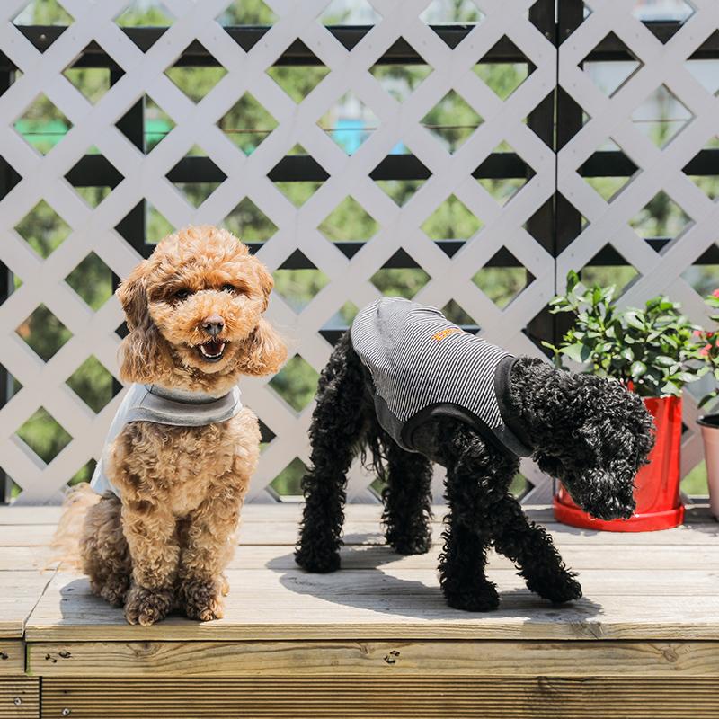 犬 服 タンクトップ｜NEW JACK ニュージャック ワンホール刺繍ボーダー