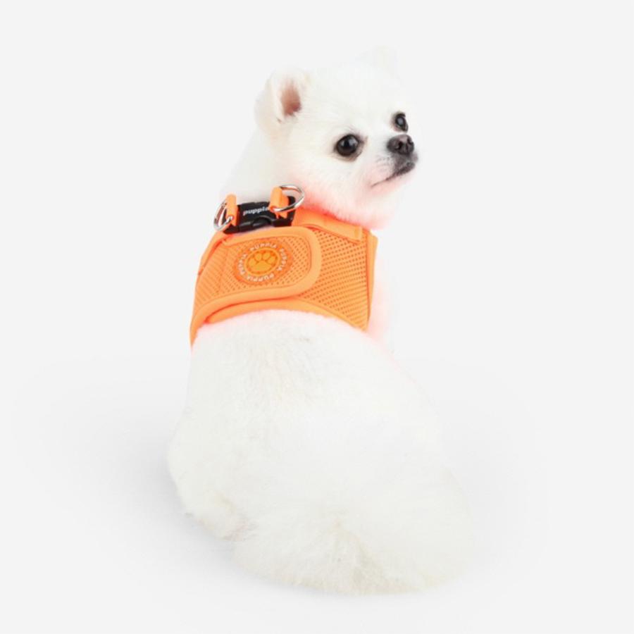 LEDプレゼント犬 服 PUPPIA パピア ネオンソフトベストハーネス   S M L 小型犬 ペット 犬 ハーネス 胴輪 ブランド 簡単装着 ソフトハーネス｜best-friends｜08