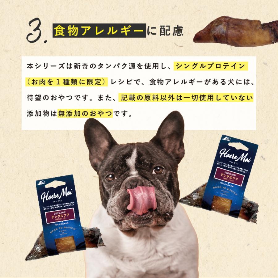クーポンで最大500円OFF Haere Mai（ハレマエ）デンタルフフ（鹿のひ
