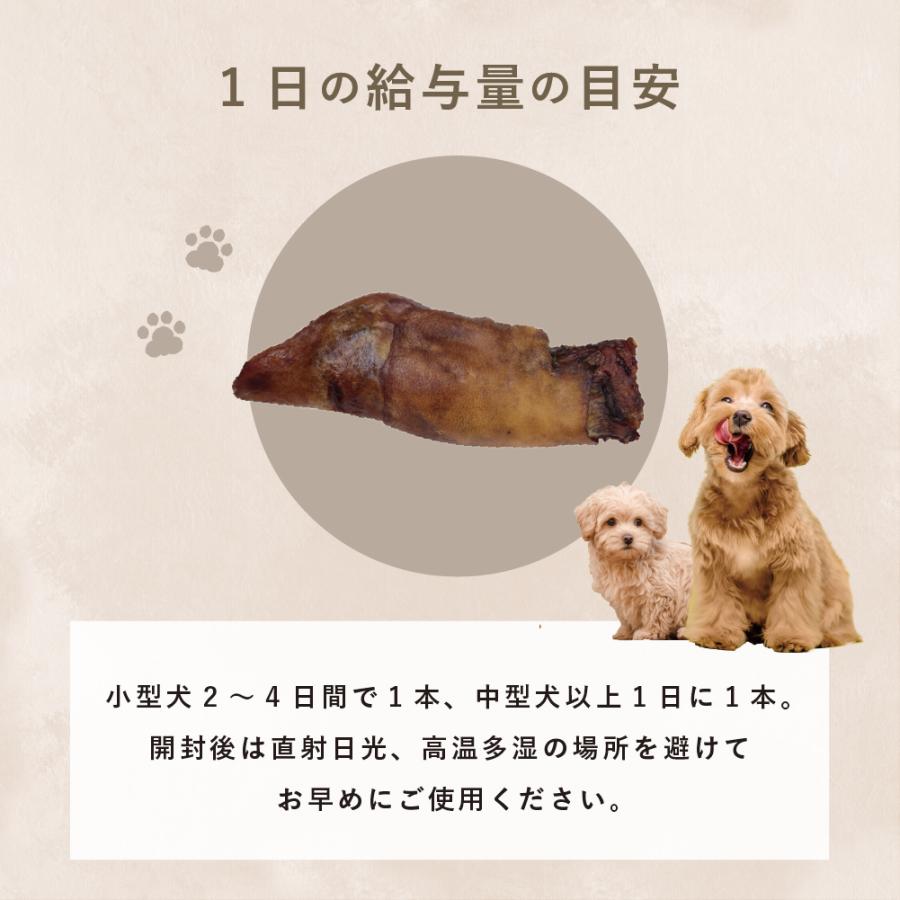 クーポンで最大500円OFF Haere Mai（ハレマエ）デンタルフフ（鹿のひ